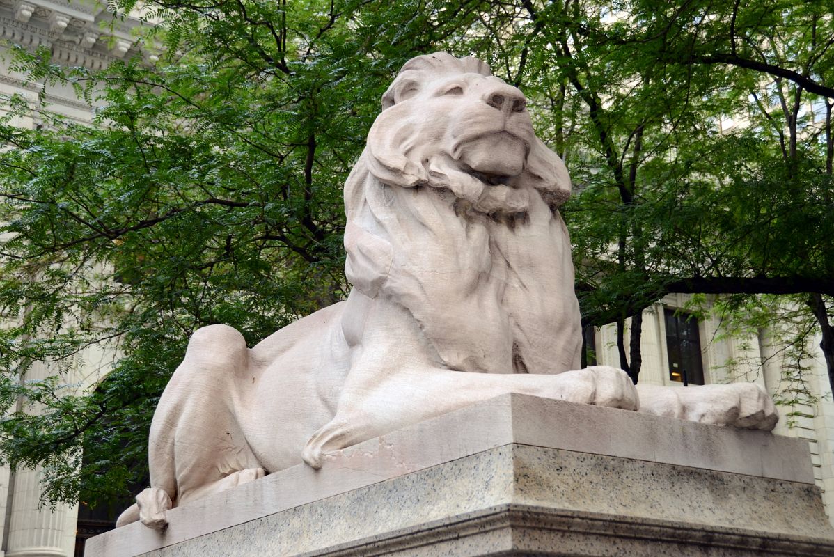 02-2 Fortitude Stone Lion Sculpted By Edward Clark Potter Guard The Entrance To New York City Public Library Main Branch